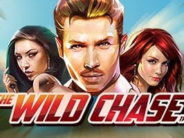 The Wild Chase game thumbnail