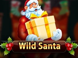 Wild Santa game thumbnail